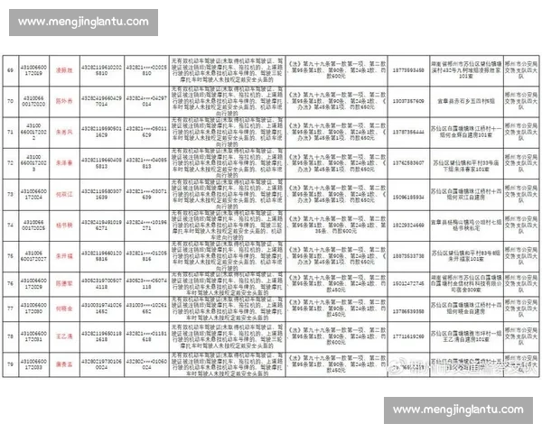 因严重违法行为被依法从重处罚并作出行政处理决定公告情况说明