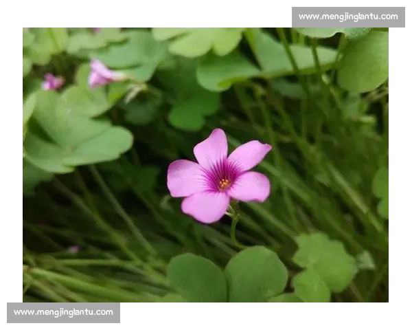 围绕胜负格局透视成败关键与博弈智慧及人性抉择背后的深层逻辑解析