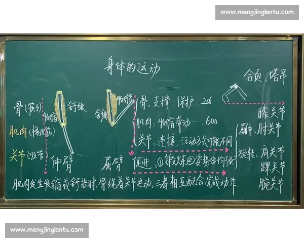 热身活动在运动中的重要性与科学方法分析及实施策略 热身活动在运动中的重要性与科学方法分析及实施策略