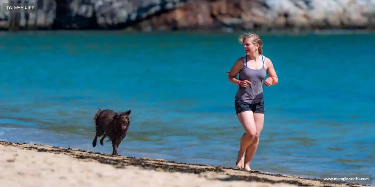 <strong>im电竞</strong>🏃♂️运动不止，热爱不息 —— 每一步都是超越自己的勋章！